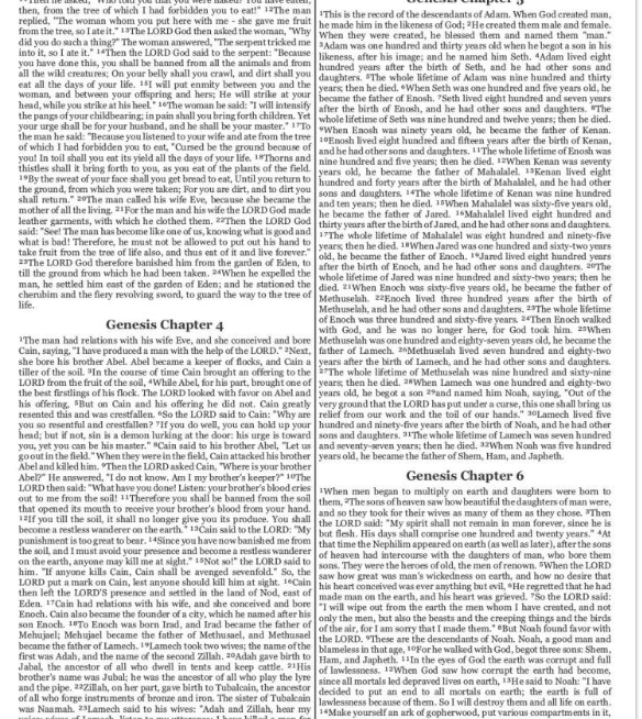 Two-column wall of tiny text with no readable formatting