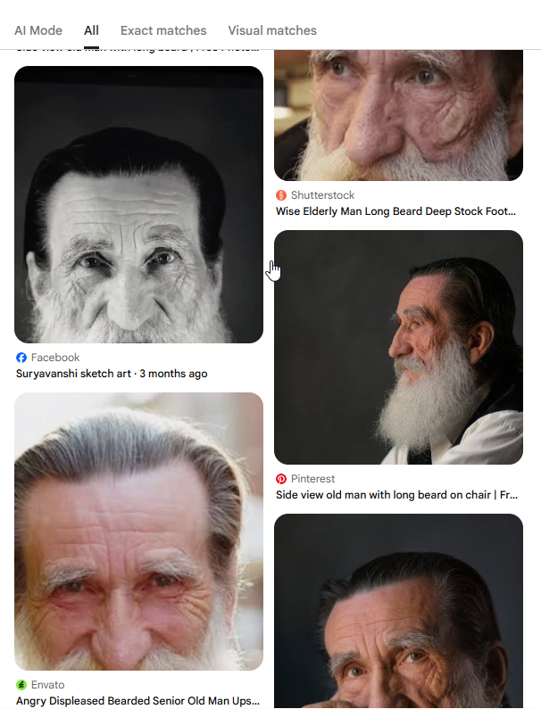 Google Lens results showing the same bearded man on Shutterstock, Envato, Pinterest and as a Facebook sketch