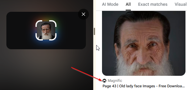 Google Lens exact match results showing the author portrait sourced from the Magnific stock photo site